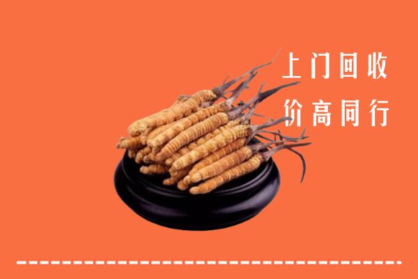 高价求购：牡丹江市阳明区回收散虫草