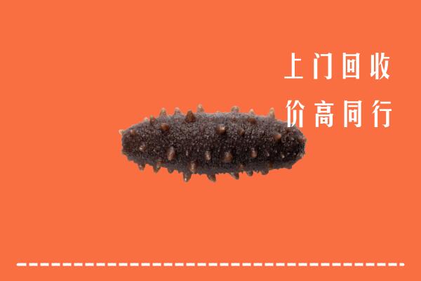 高价求购：牡丹江市阳明区回收海参