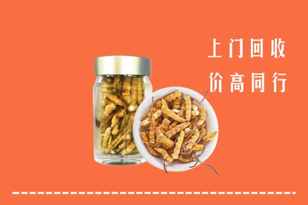 牡丹江市阳明区回收冬虫夏草