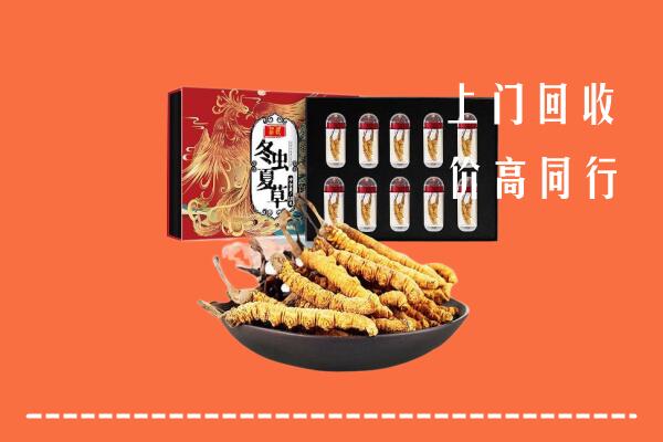 牡丹江市阳明区回收虫草